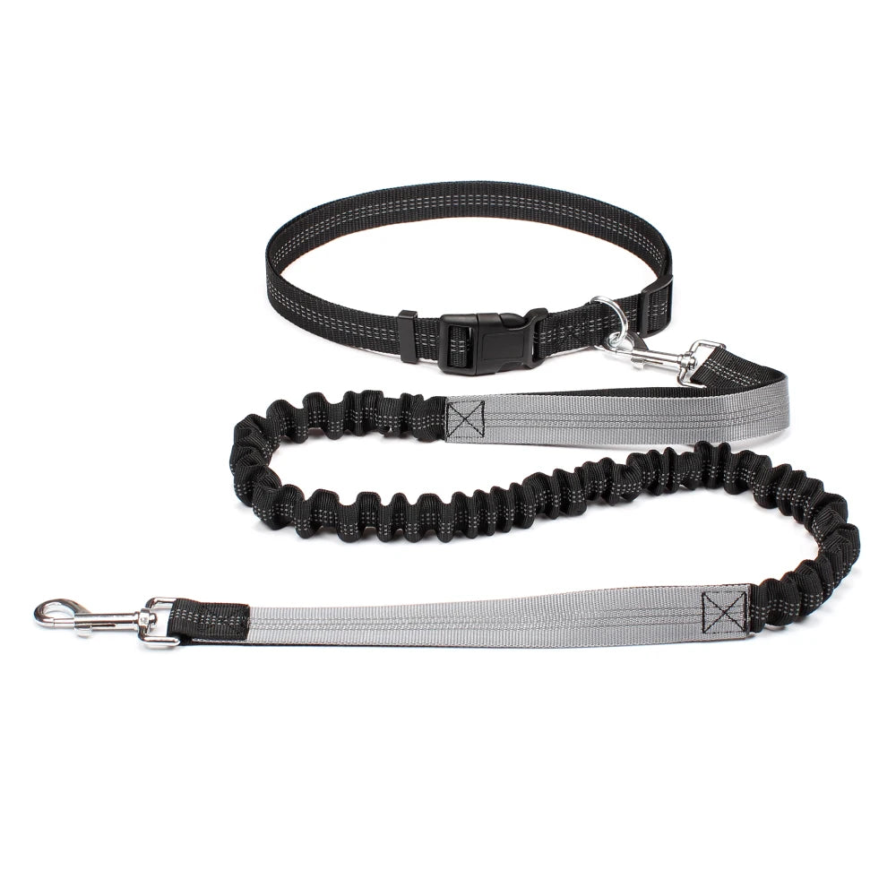Hand Free Traction Dog Leash for Pet Walking/Running