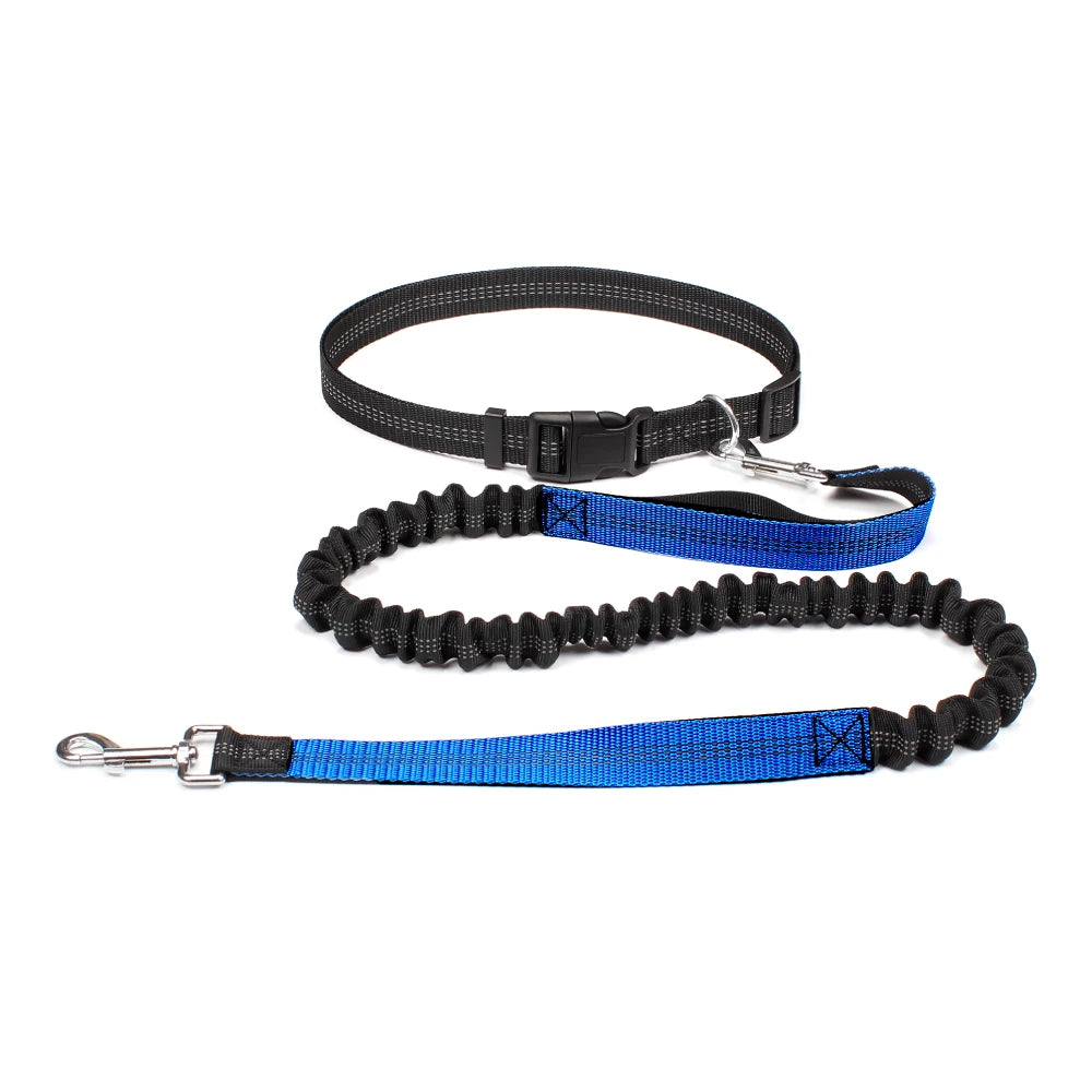 Hand Free Traction Dog Leash for Pet Walking/Running