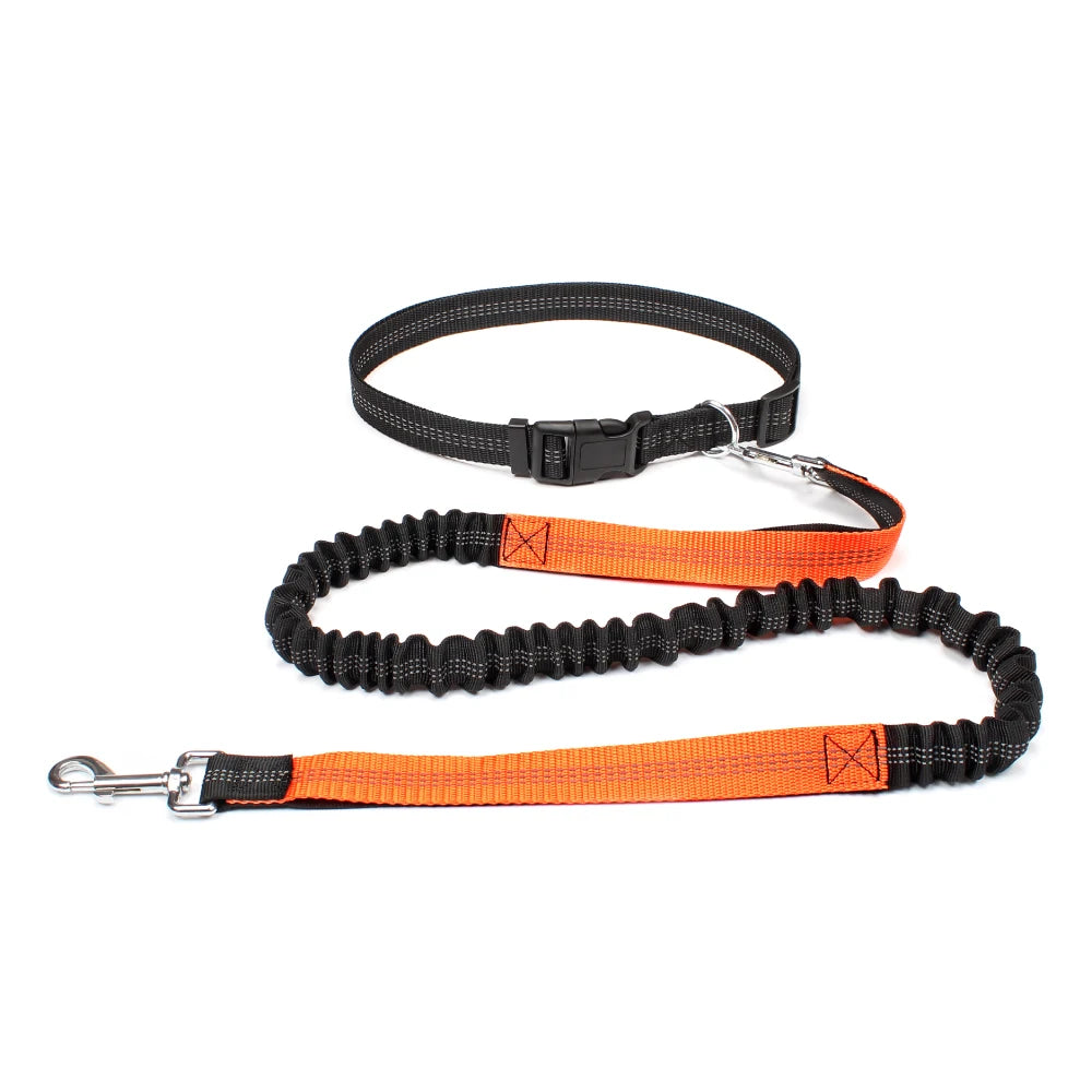 Hand Free Traction Dog Leash for Pet Walking/Running