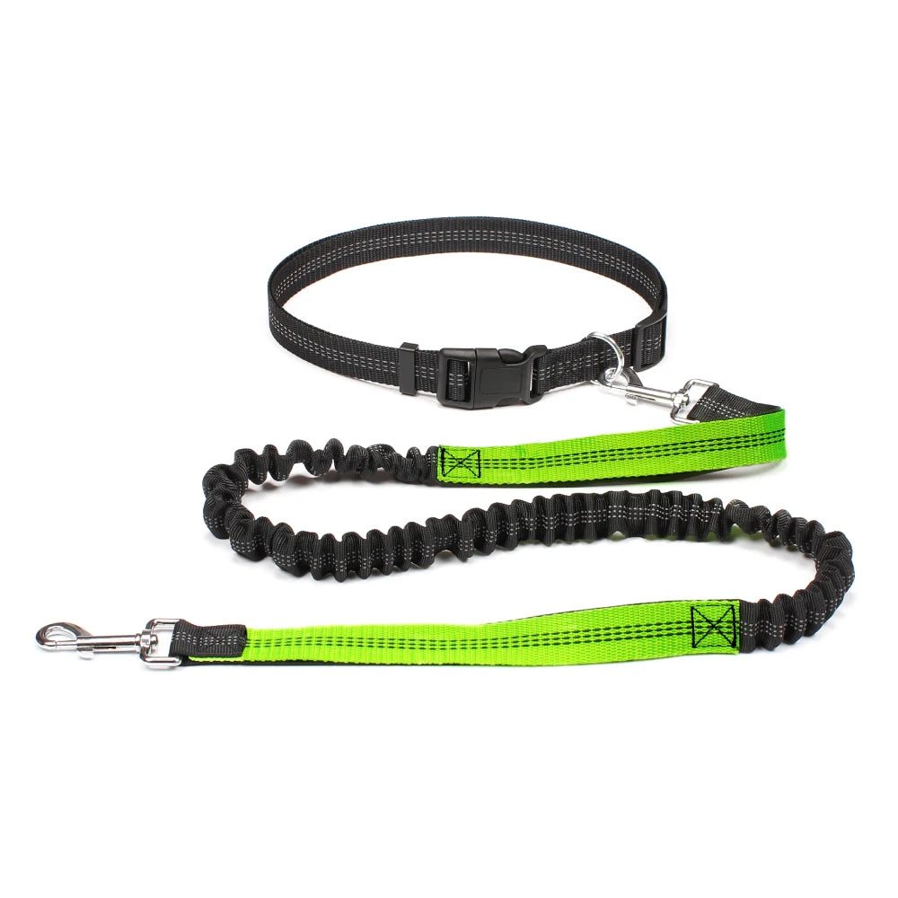 Hand Free Traction Dog Leash for Pet Walking/Running