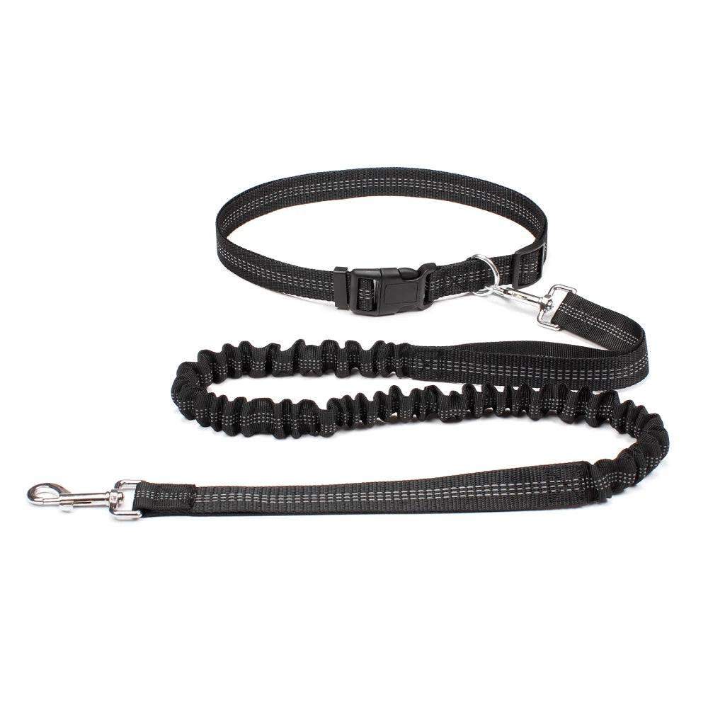 Hand Free Traction Dog Leash for Pet Walking/Running